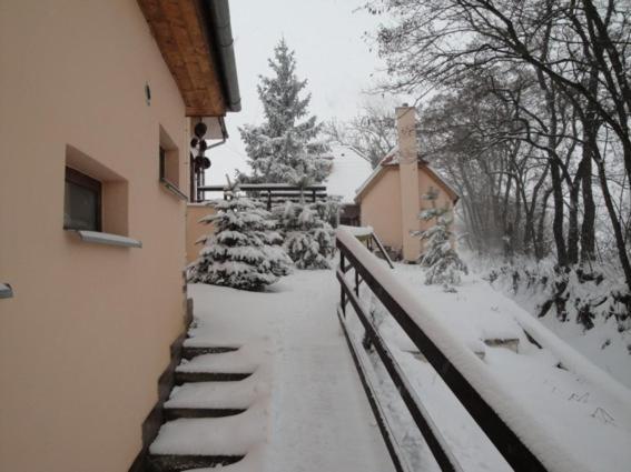 Penzion Nechorka Prušánky Exteriér fotografie
